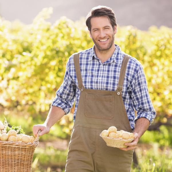 Pfanni Kartoffel Snack mit Röstzwiebeln & Croûtons