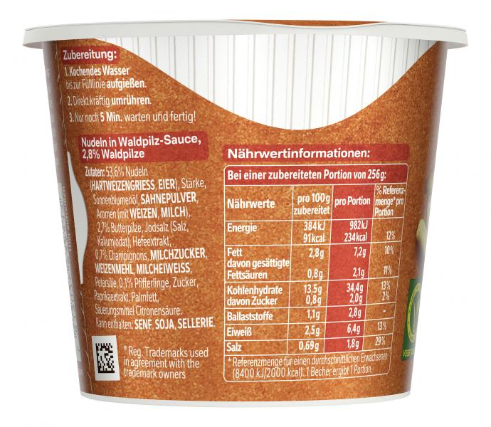 Maggi 5 Minuten Terrine Nudeln in Waldpilz-Rahmsauce