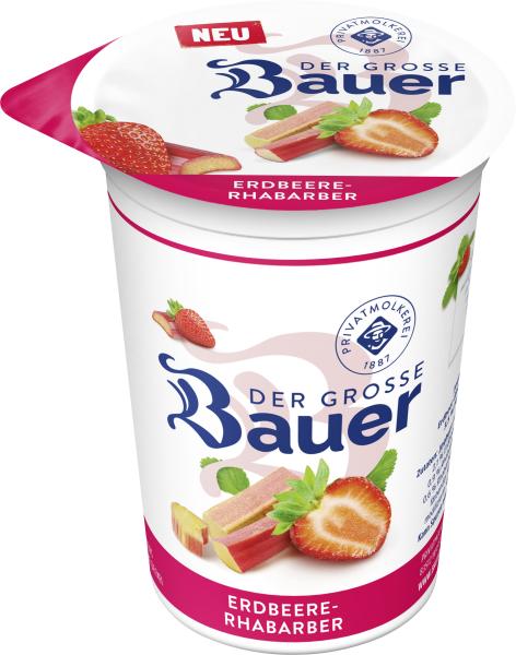 Bauer Joghurt Der Große Bauer Sommeredition Haselnuss