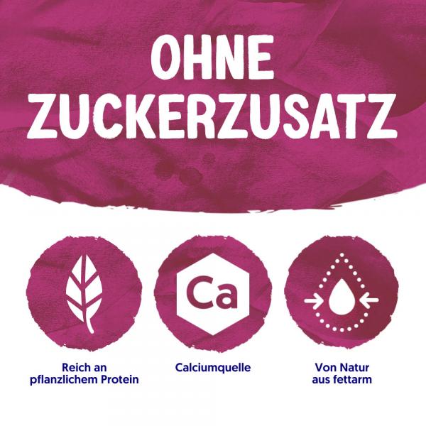 Alpro Joghurtalternative ohne Zuckerzusatz Rote Früchte mit Datteln