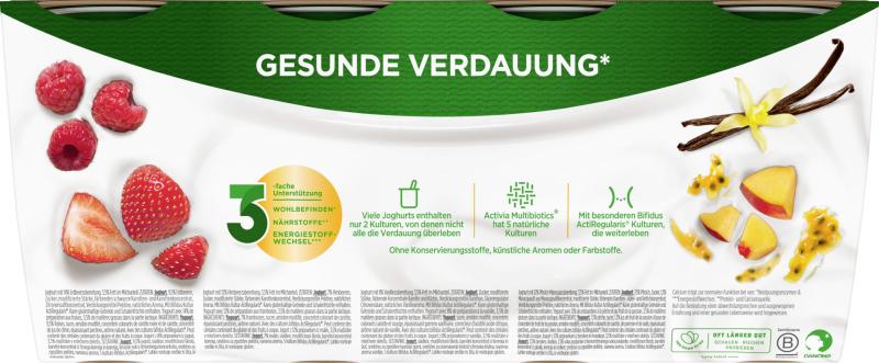 Danone Activia XXL Fruchtmix
