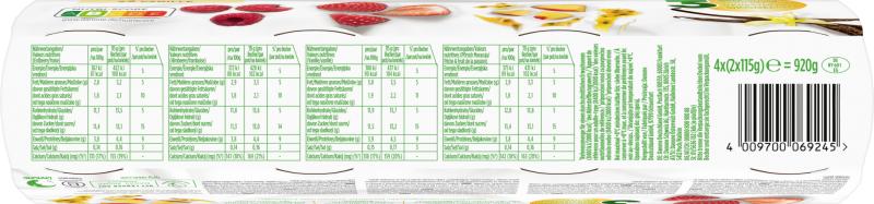 Danone Activia XXL Fruchtmix