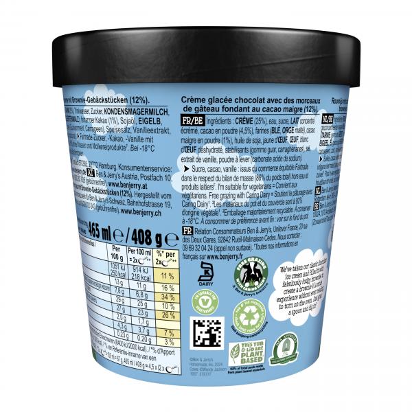 Ben & Jerry's Chocolate Fudge Brownie