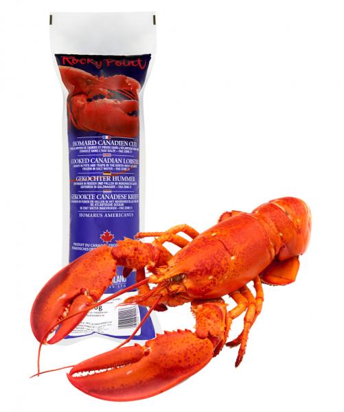 Rocky Point Gekochter Hummer