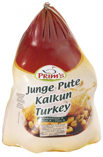 Prim's Junge Pute 