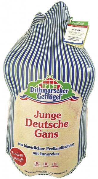 Dithmarscher Geflügel Junge deutsche Gans