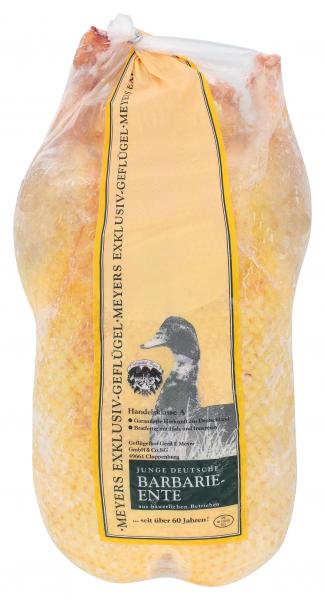 Junge Deutsche Barbarie Ente