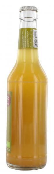 Fritz-Spritz Bio-Apfelsaftschorle (Mehrweg)