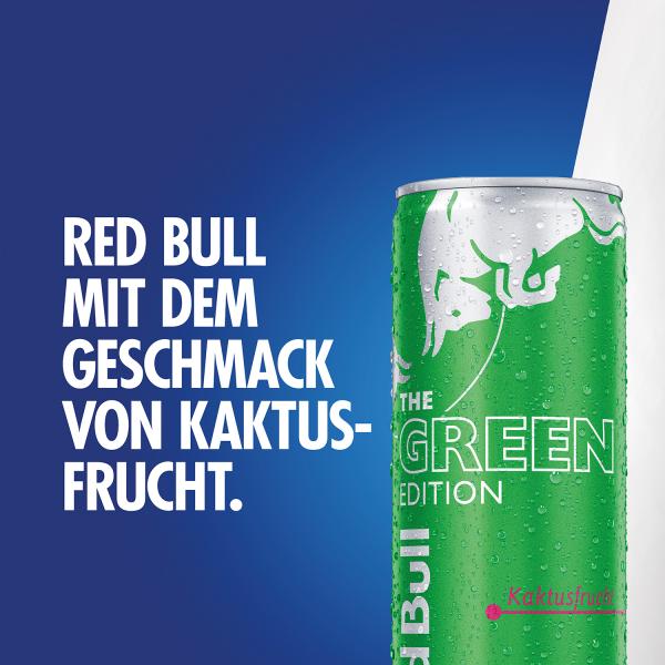 Red Bull Energy Drink Green Edition Kaktusfrucht (Einweg)