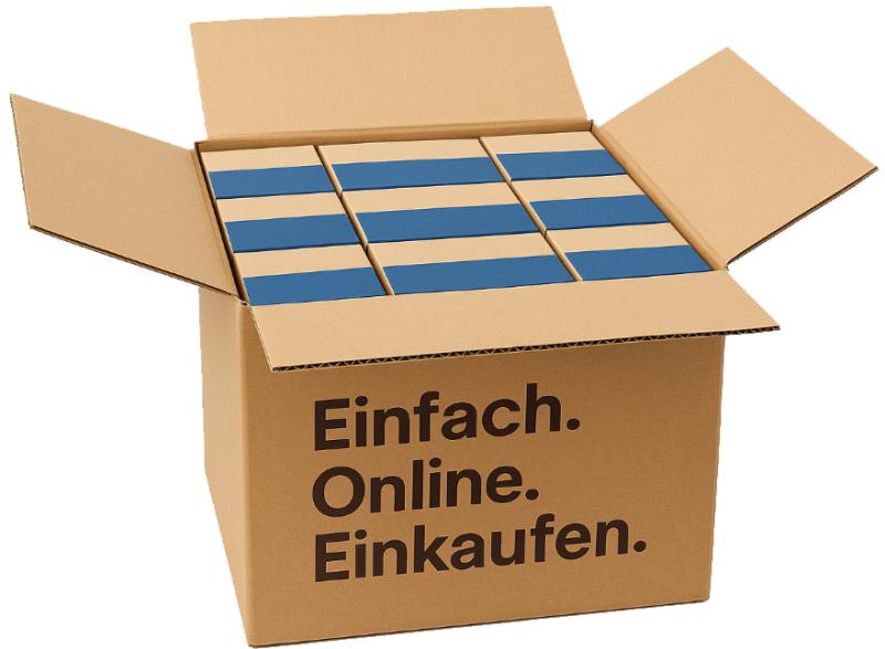 Red Bull Energy Drink Blue Edition Heidelbeere (Einweg)