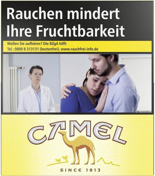 Camel Yellow BP 6XL