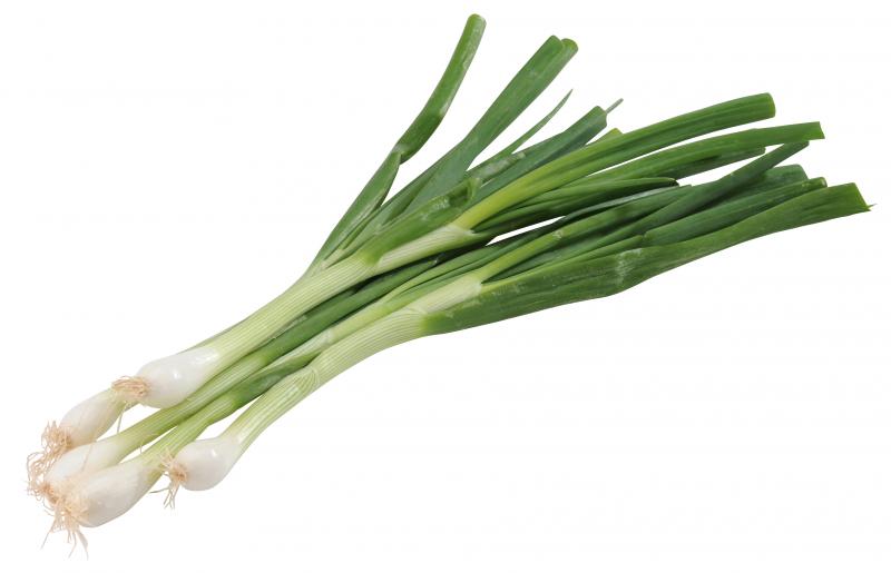 Lauchzwiebeln im Bund