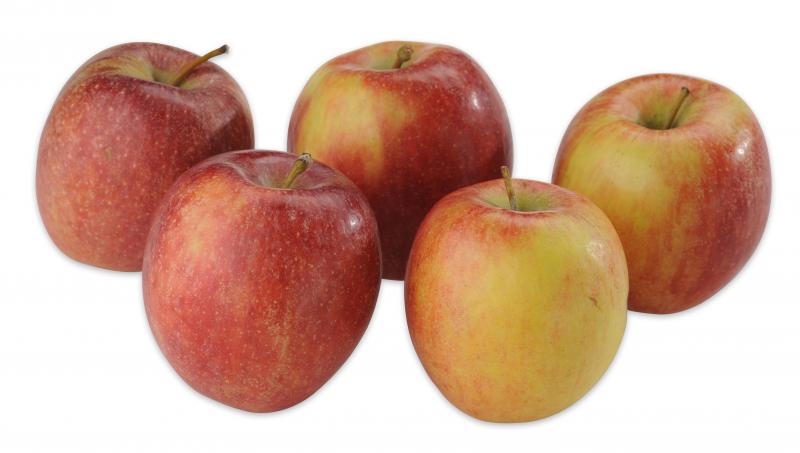Apfel Braeburn