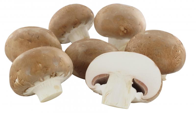 NaturWert Bio Creme Champignons