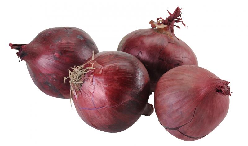 Zwiebeln Rot
