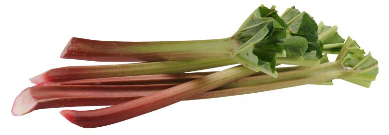 Hofwerte Rhabarber