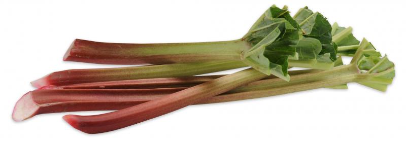 Hofwerte Rhabarber
