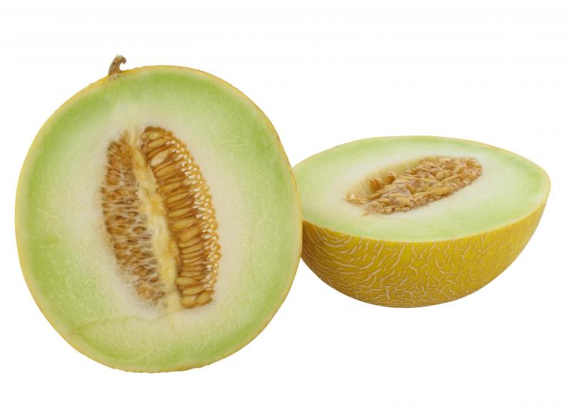 Galia Melone
