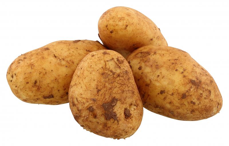 Kartoffeln Annabelle - festkochend