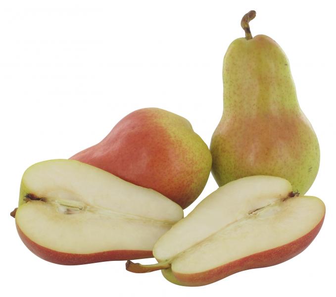 Birne Forelle