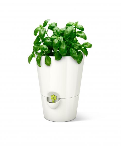 Emsa Fresh Herbs Kräutertopf weiß