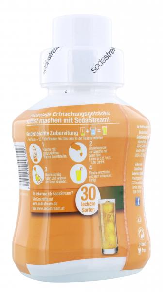 Soda Stream Getränkesirup Ginger Ale-Geschmack